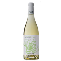 Toscana Ansonica IGT "Belvento" 2023 - Petra