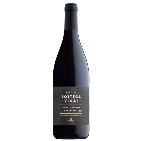 Trentino Pinot Nero DOC 2023 - Bottega Vinai