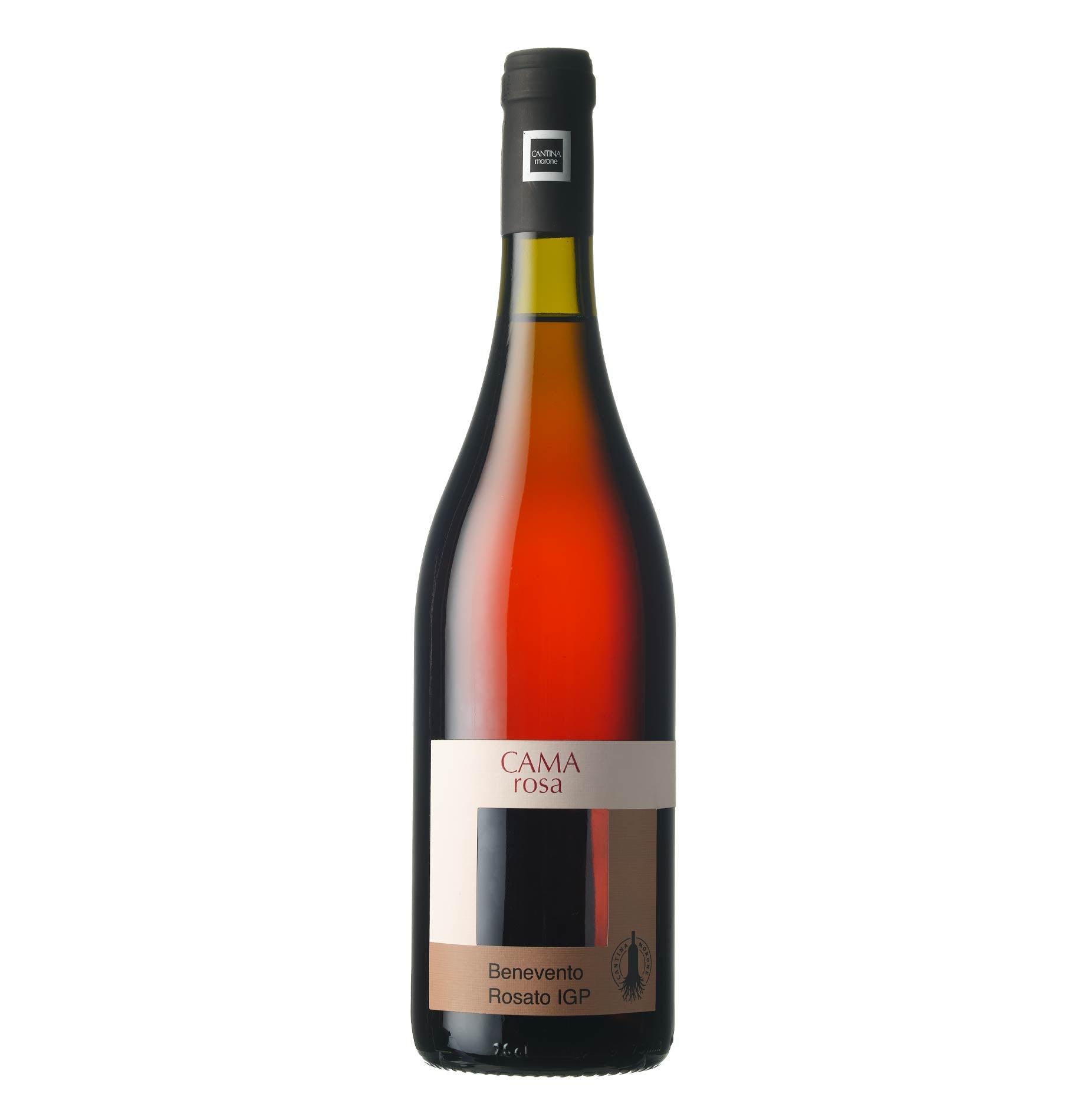 Benevento Rosato IGP "Camarosa" 2024 - Cantina Morone