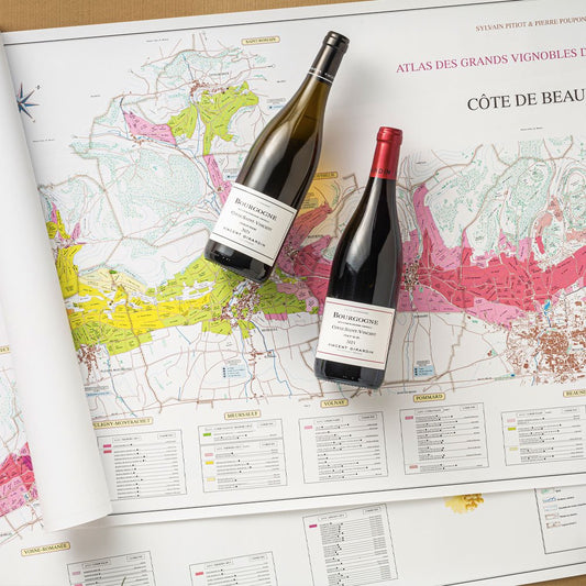 Bourgogne Blanc "Cuvée Saint Vincent" 2022 + Bourgogne Pinot Noir Cuvée Saint Vincent 2022 - Vincent Girardin + 2 Mappe Vinicole