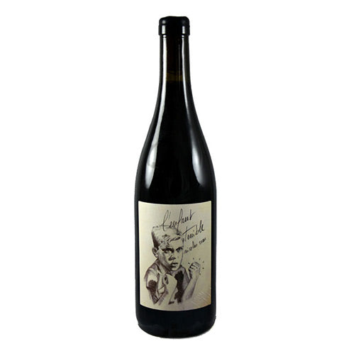 Anjou Cabernet Franc "L'Enfant Terrible" 2022 - Clos de Treilles