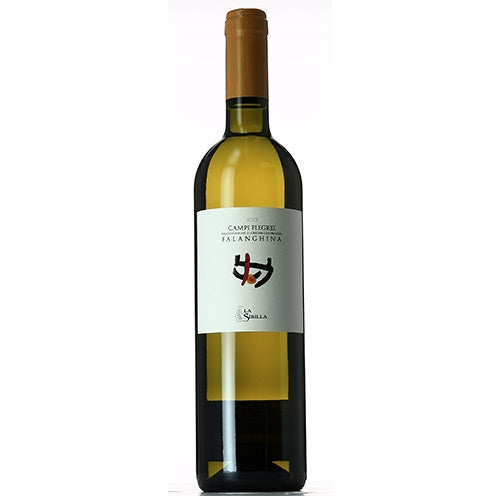 Campi Flegrei Falanghina 2024 La Sibilla