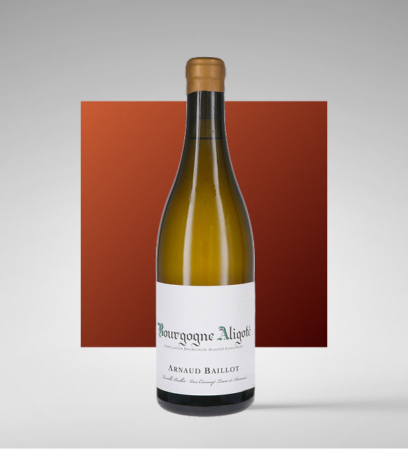 Bourgogne Aligoté AOC "Les Aures" 2023 - Arnaud Baillot