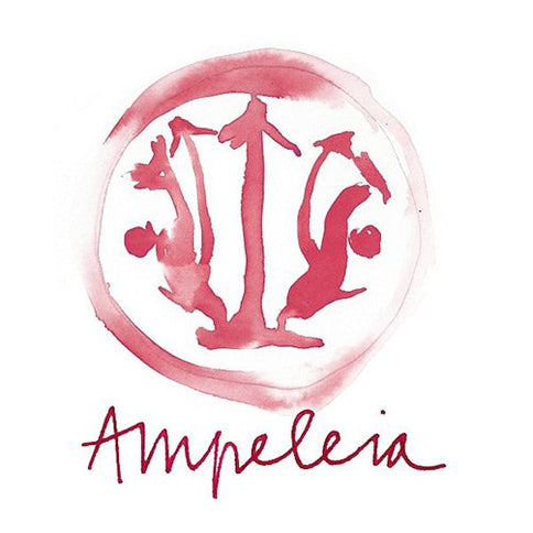 Costa Toscana Cabernet Franc IGT 2022 - Ampeleia