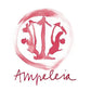 Costa Toscana Cabernet Franc IGT 2022 - Ampeleia