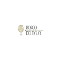 Collio Sauvignon DOC 2022 - Borgo del Tiglio