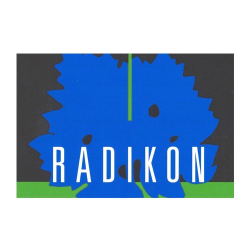 Venezia Giulia Ribolla Gialla IGT 2019 - Radikon (0.5l)