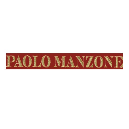 Barolo Meriame DOCG 2021 - Paolo Manzone