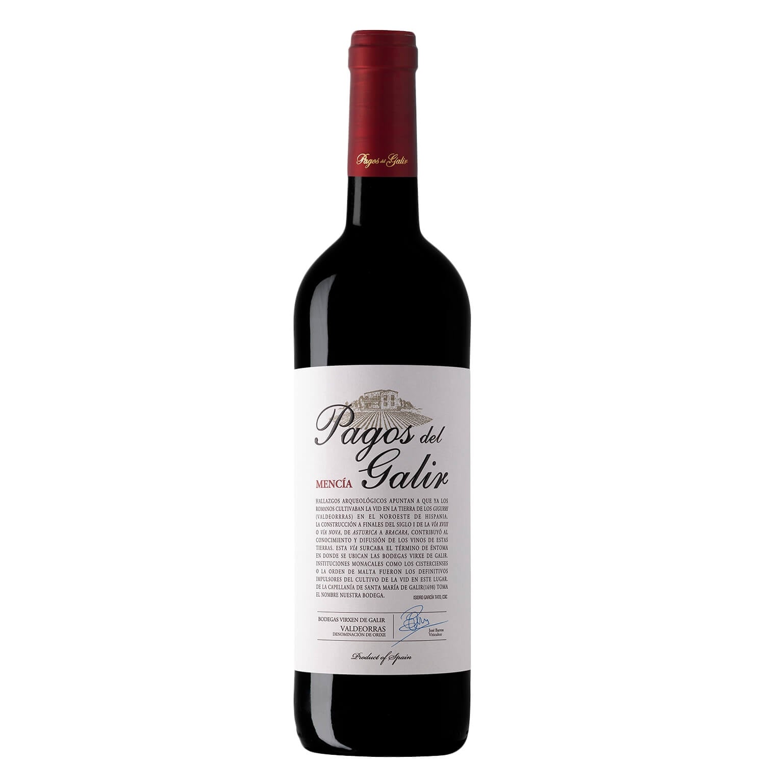 Valdeorras Mencía DO “Val do Galir” 2023 - Virgen del Galir, CVNE