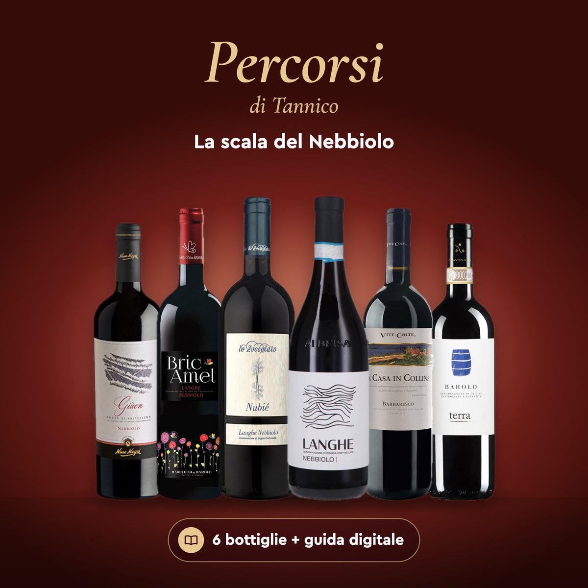 Box la scala del Nebbiolo