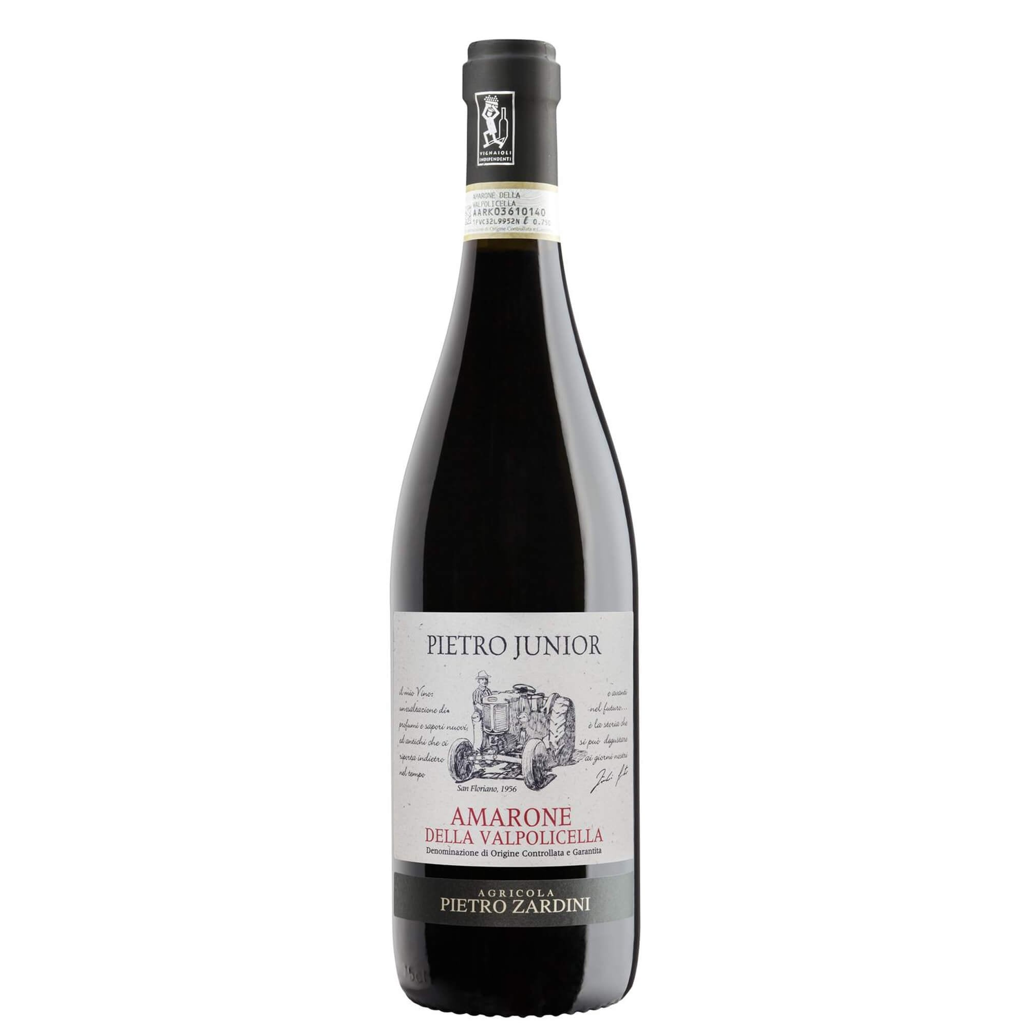 Amarone della Valpolicella DOC "Pietro Junior" 2018 - Pietro Zardini (Wine Outlet)