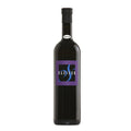 Venezia Giulia IGT Pinot Grigio 2023 - Radikon