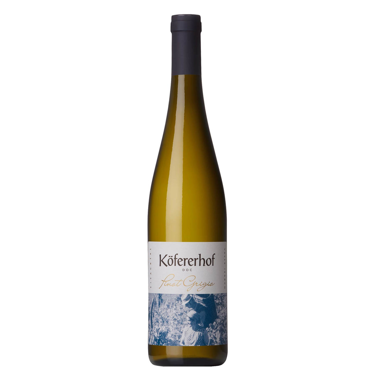 Alto Adige Pinot Grigio 2025 - Köfererhof
