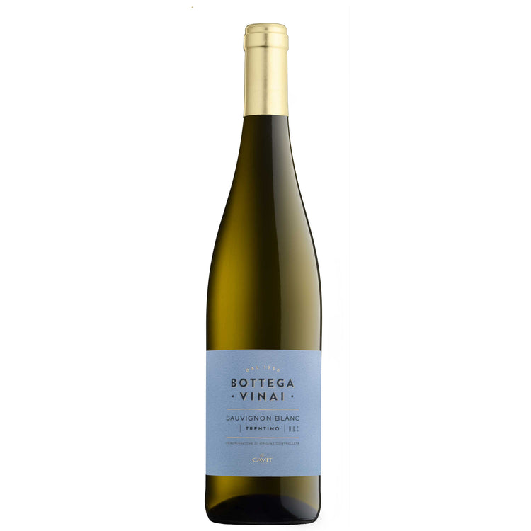 Trentino Sauvignon DOC 2024 - Bottega Vinai