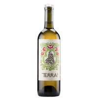 Sillaro IGT “Terra!” 2024 - Villa Papiano