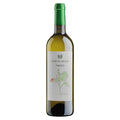 Verona Bianco IGT “Timido” 2024 - Corte Bravi