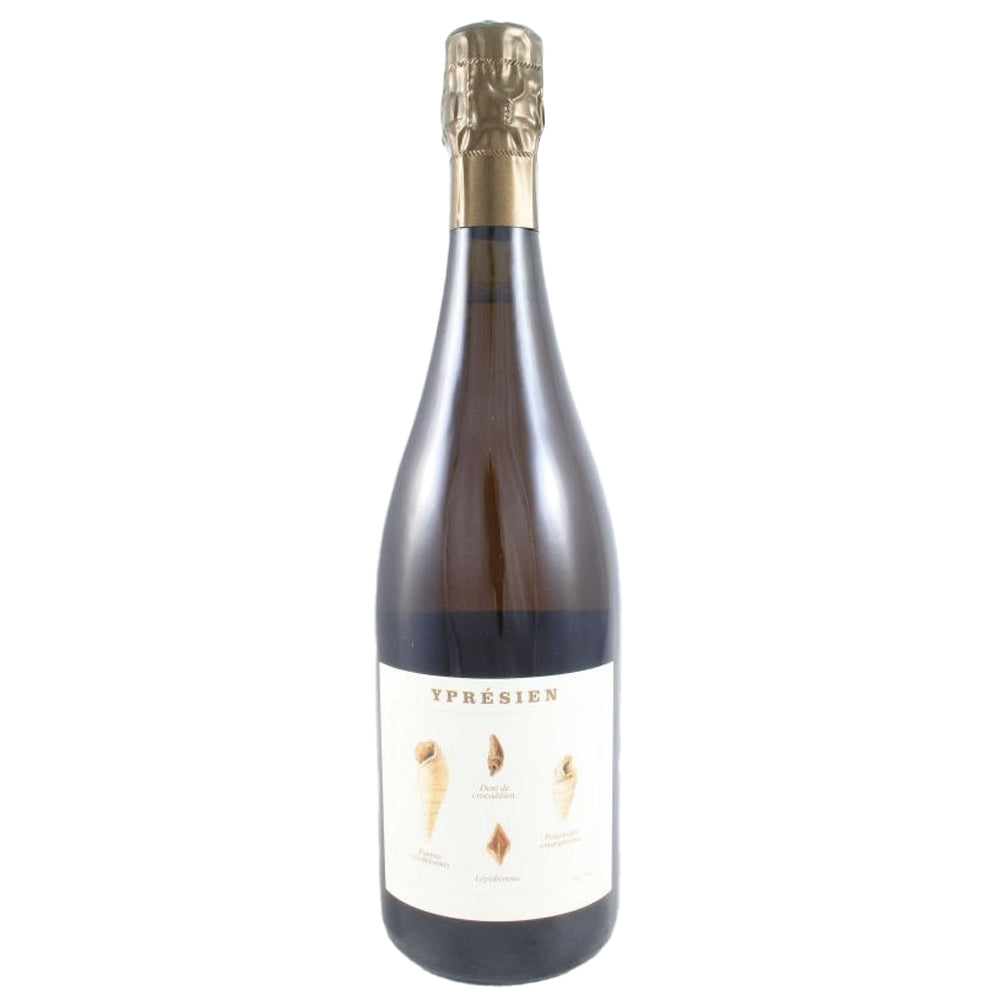 Champagne Blanc de Noirs Extra Brut “Yprésien” - Legrand-Latour